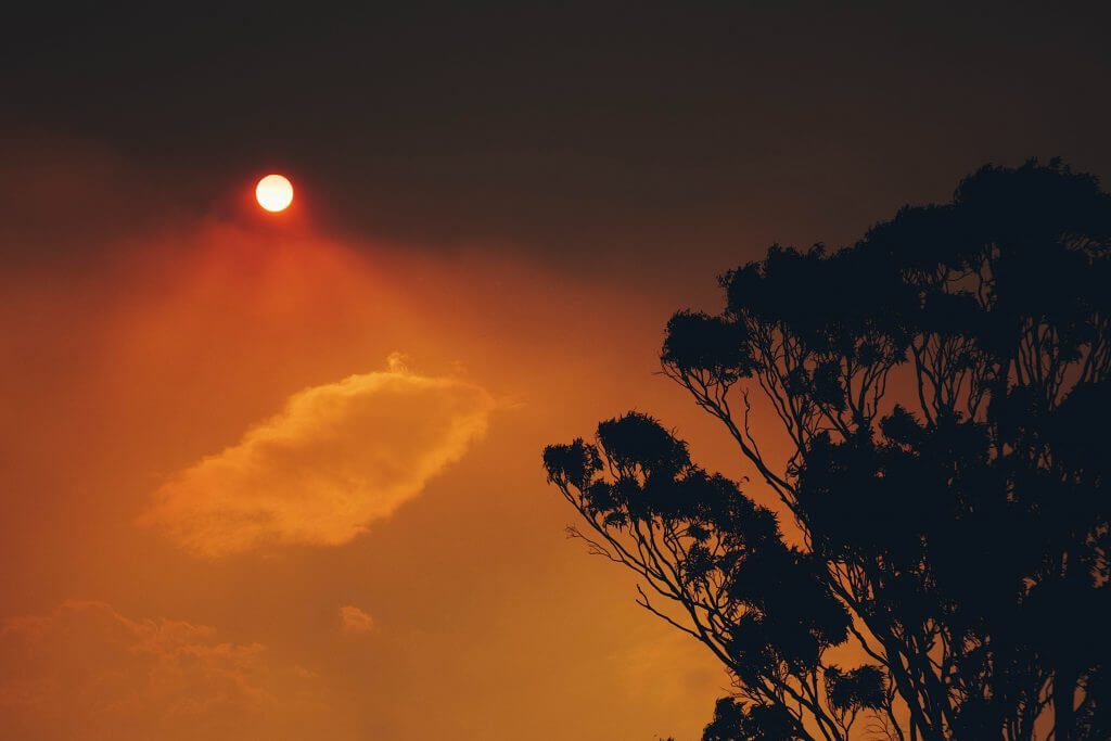 Australian bushfire