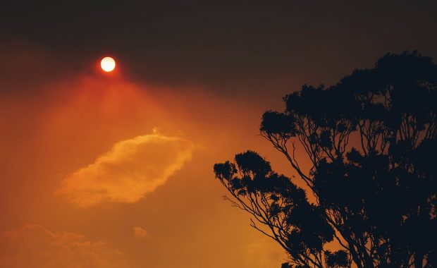 Australian bushfire