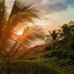 State of Emergency Declared in Costa Rica After Conti Attacks