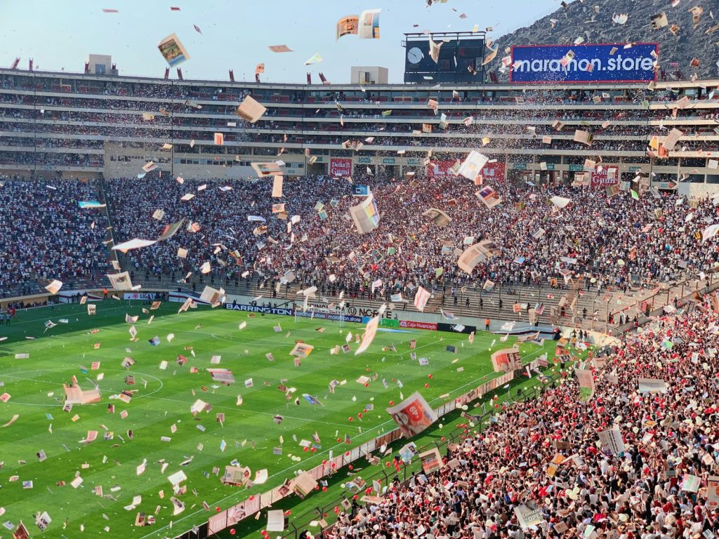 Crowd at a major stadium event