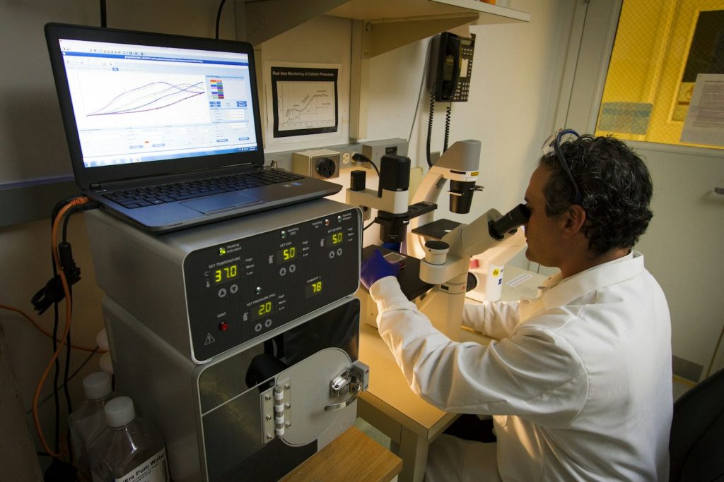 Researcher using a microscope