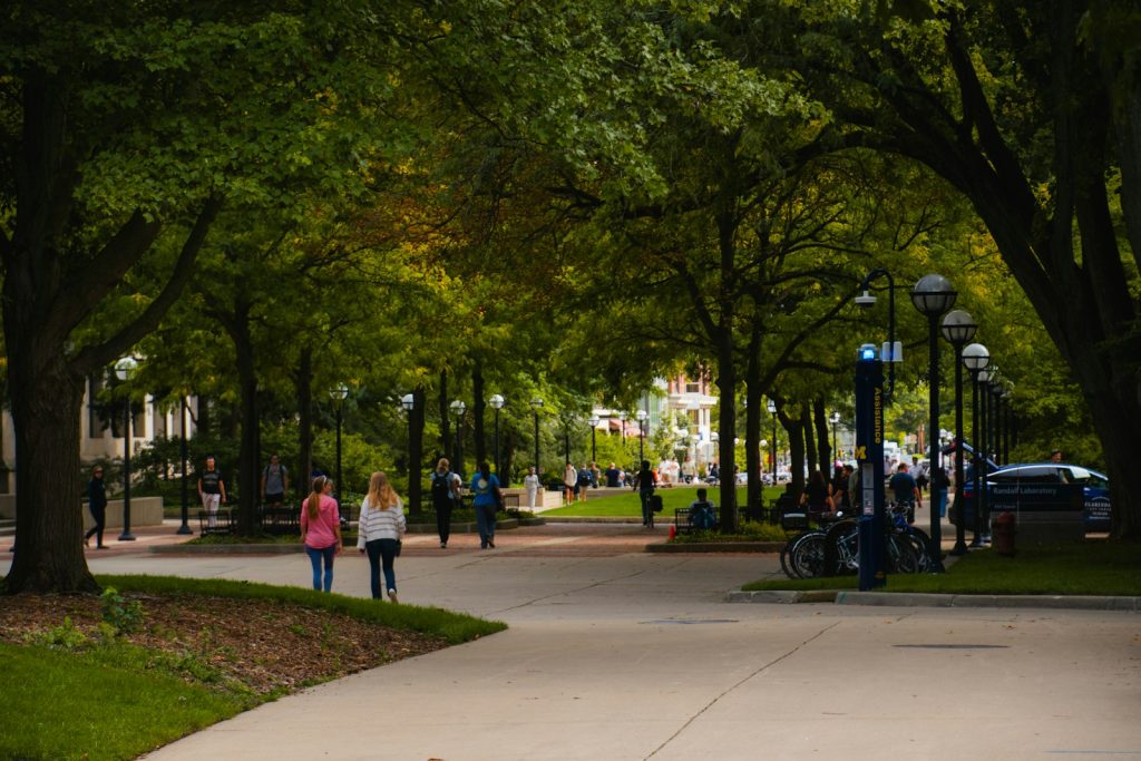 Tree-lined university campus path