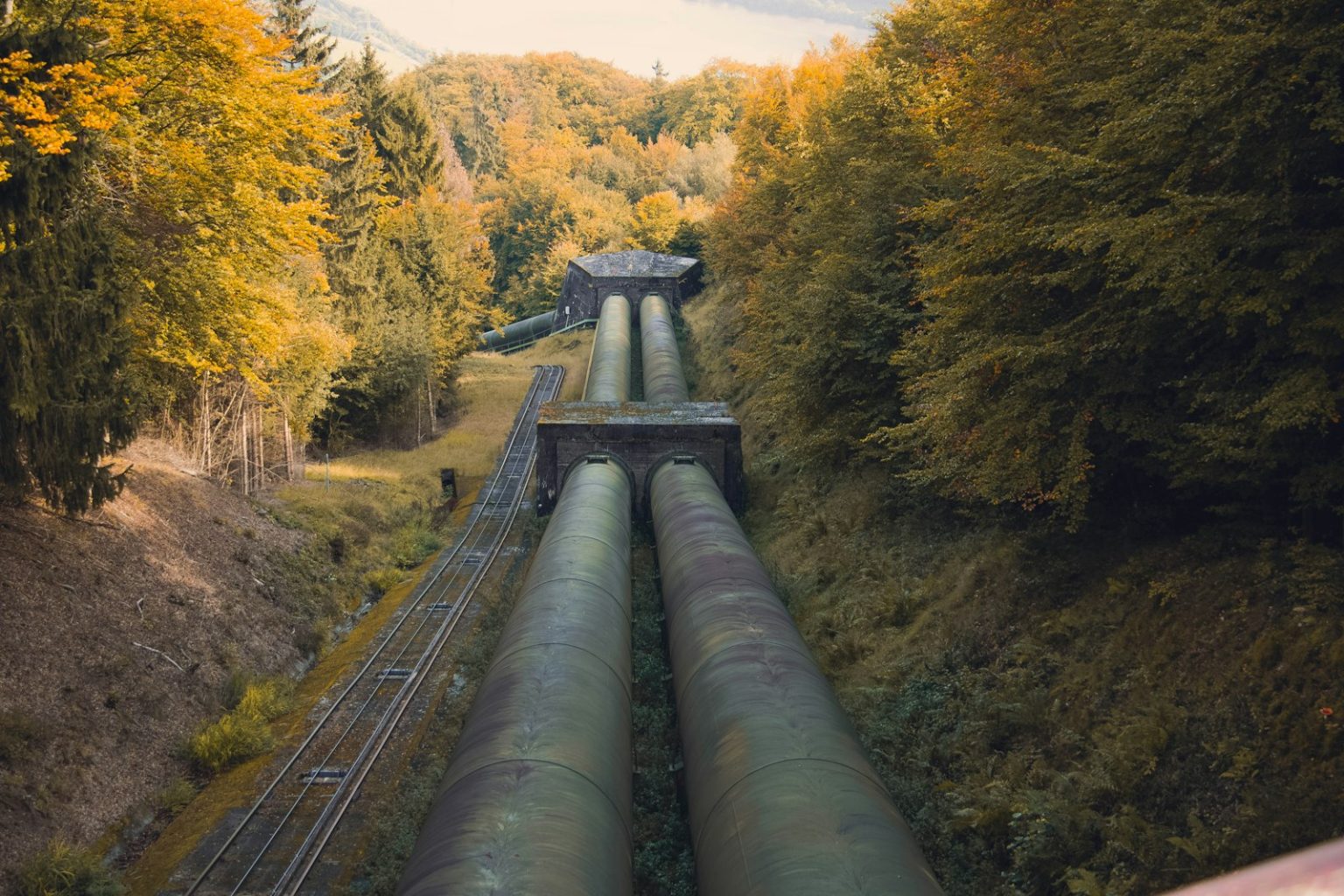 Water pipeline through bushland